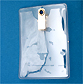 Vertical Clip-On ID badge holder for displaying ID badge